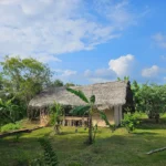 Nirvaan Safari Lodge