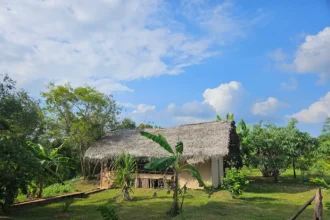 Nirvaan Safari Lodge