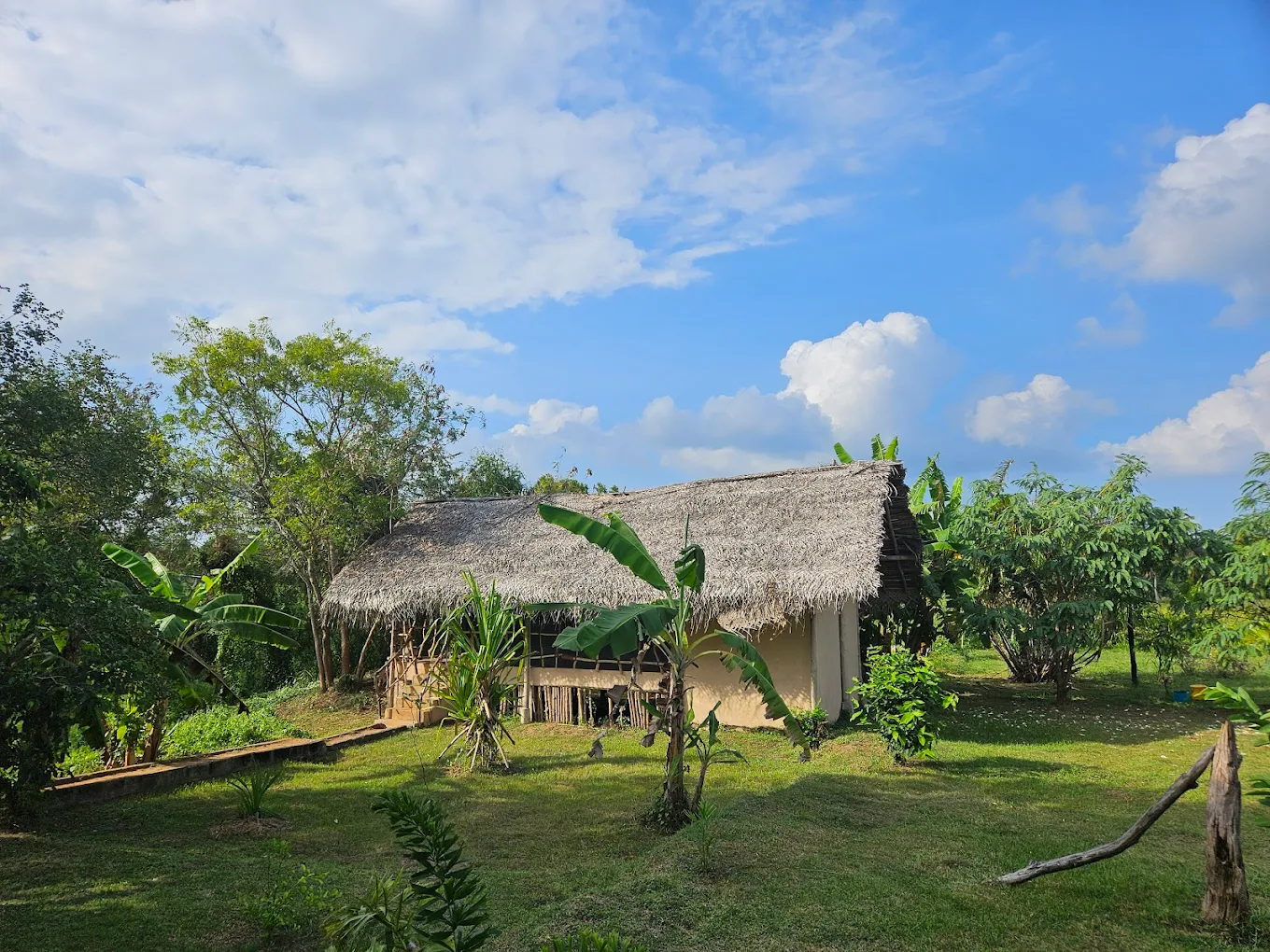 Nirvaan Safari Lodge